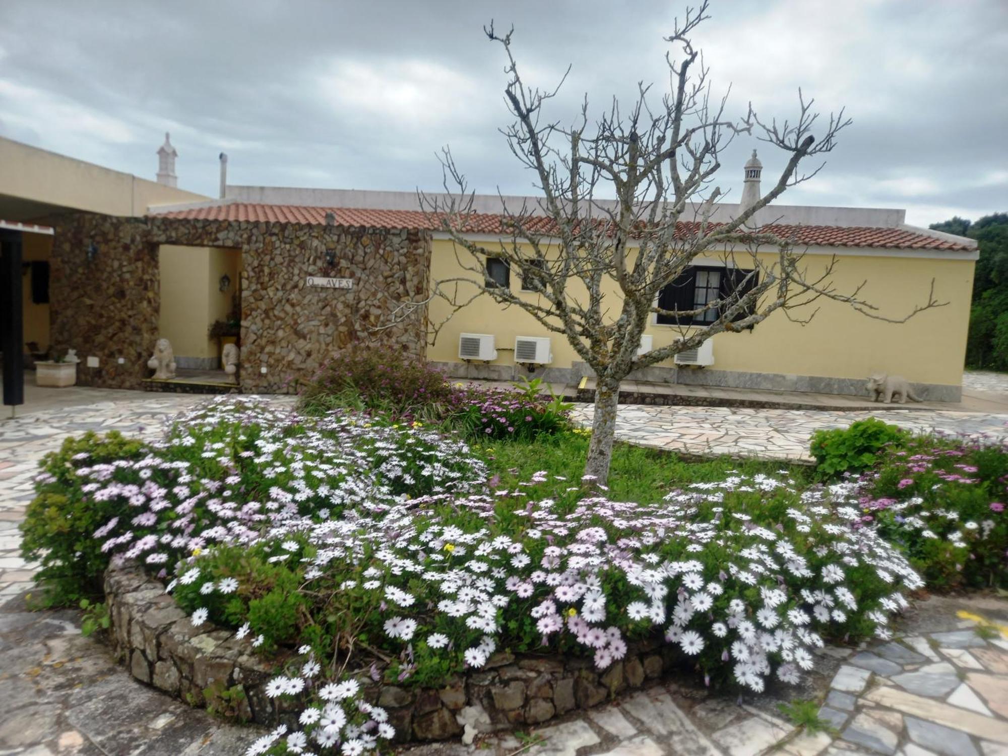 拉哥斯 Quinta Das Aves旅馆 外观 照片